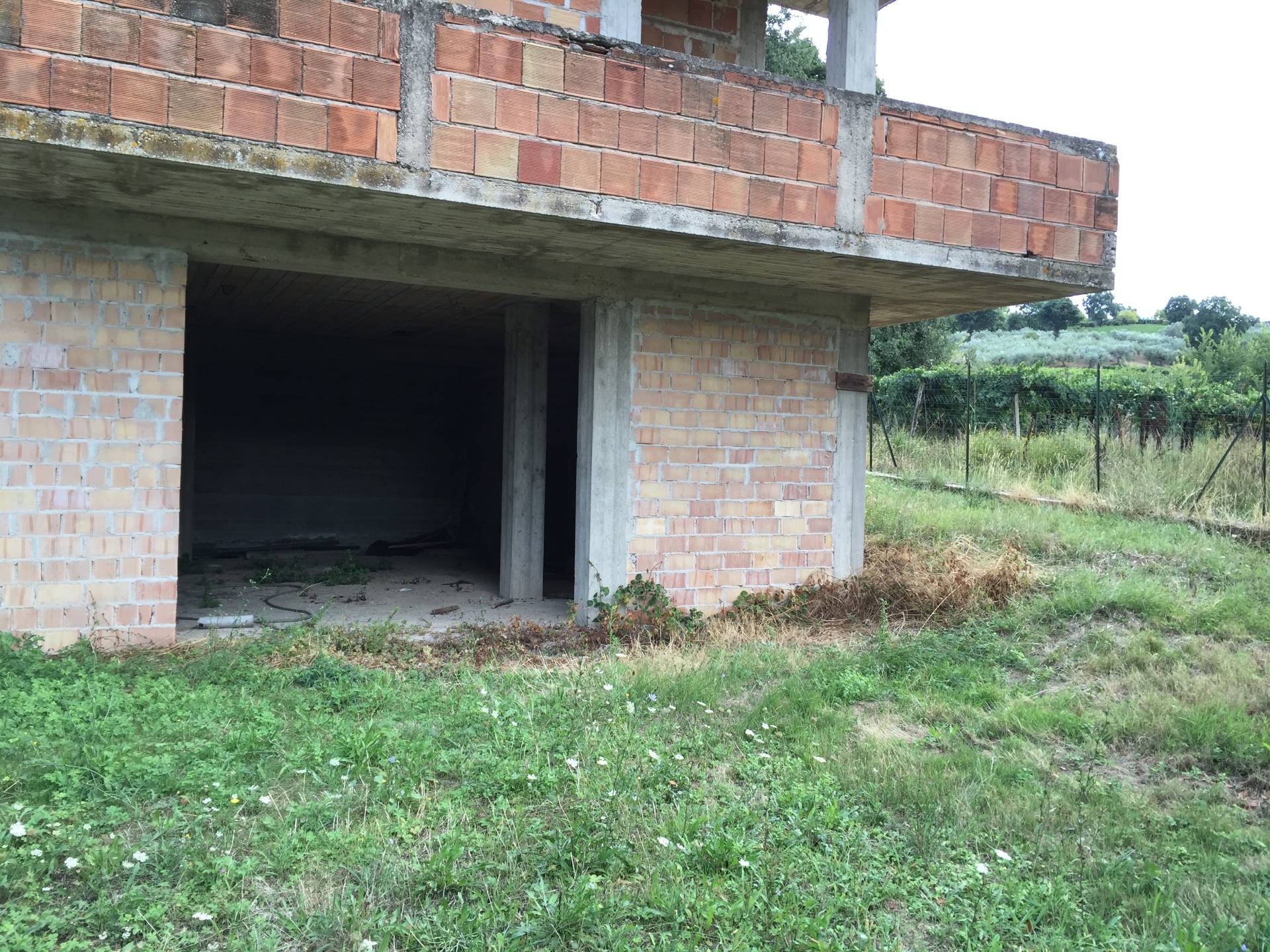 immagine annuncio 3 di 6
