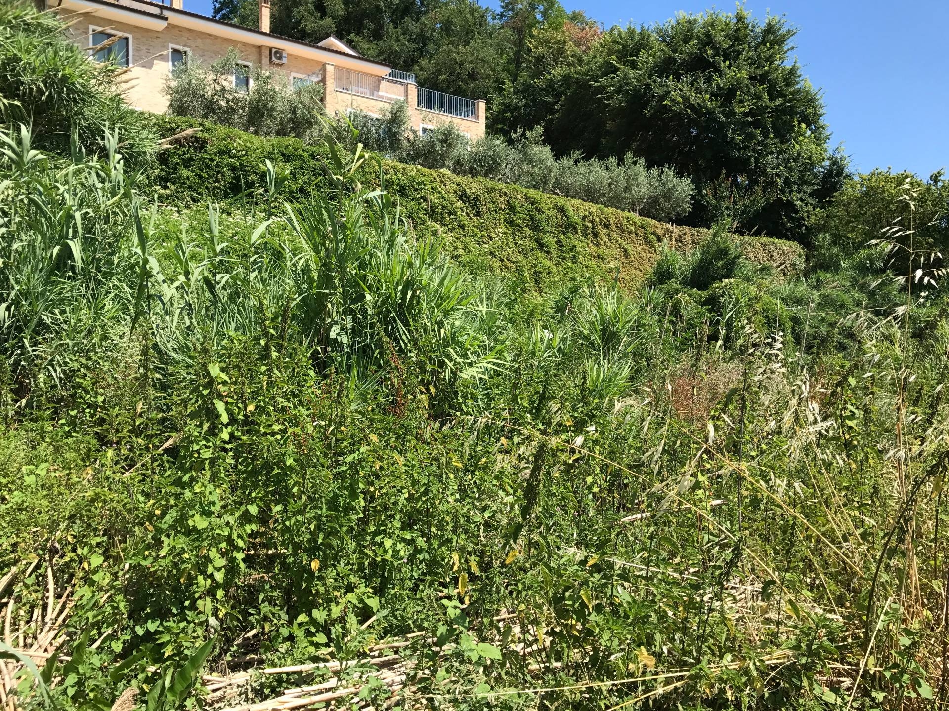 Terreno edificabile in vendita a Vasto, ZONA RESIDENZIALE