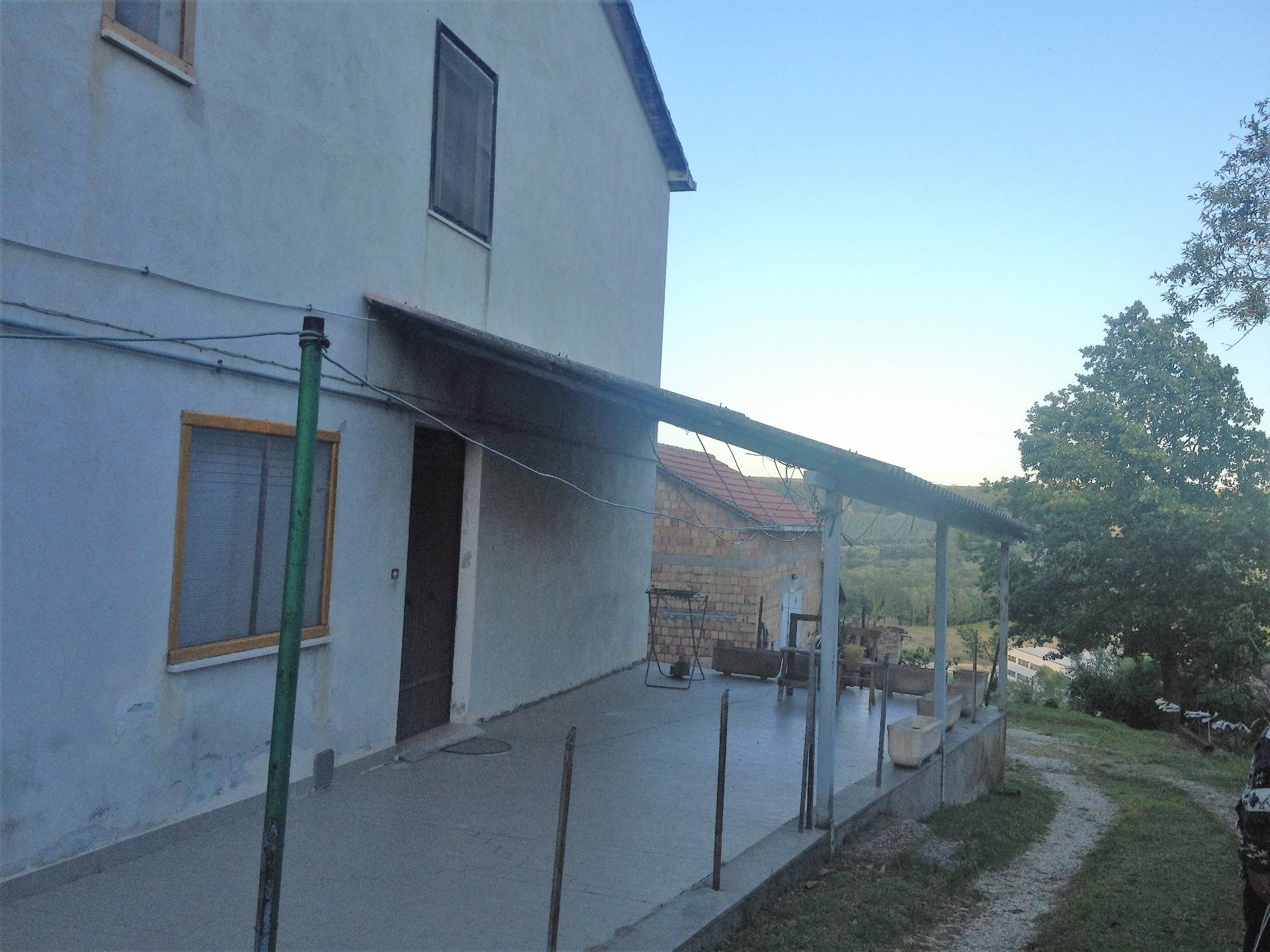 immagine annuncio 2 di 6