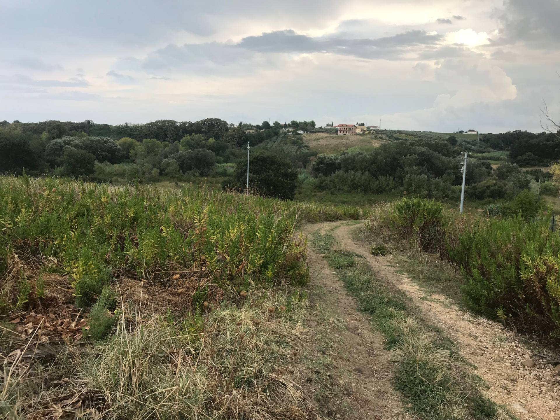 immagine annuncio 2 di 6