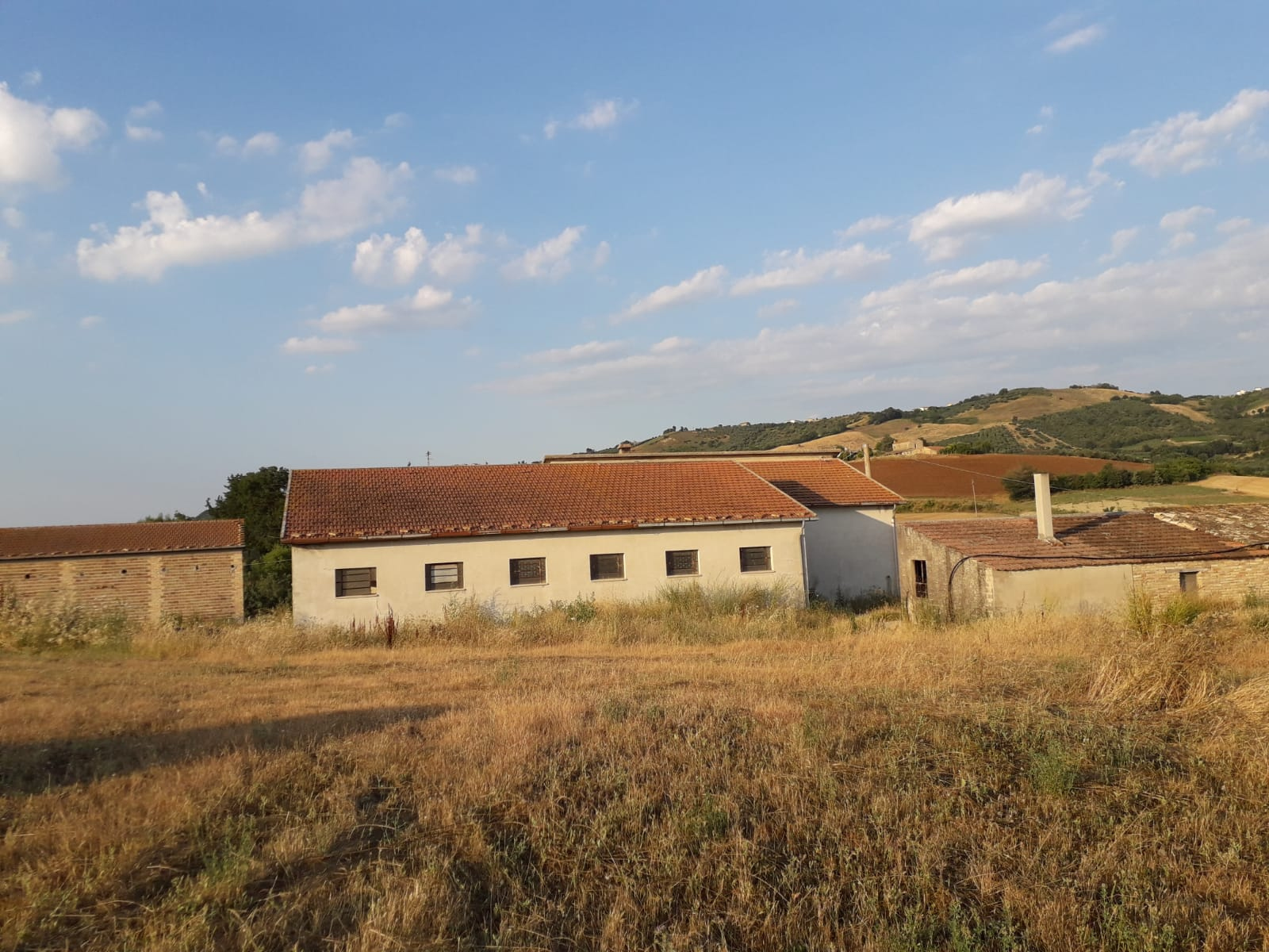 Rustico in vendita a Paglieta