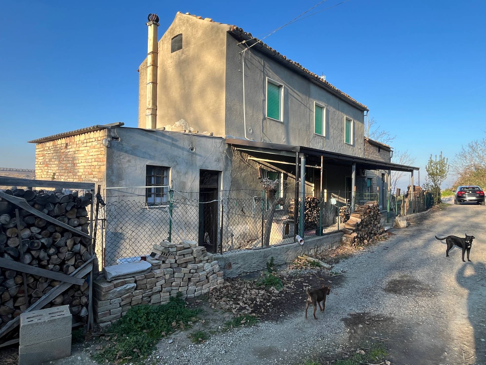 immagine annuncio 1 di 6