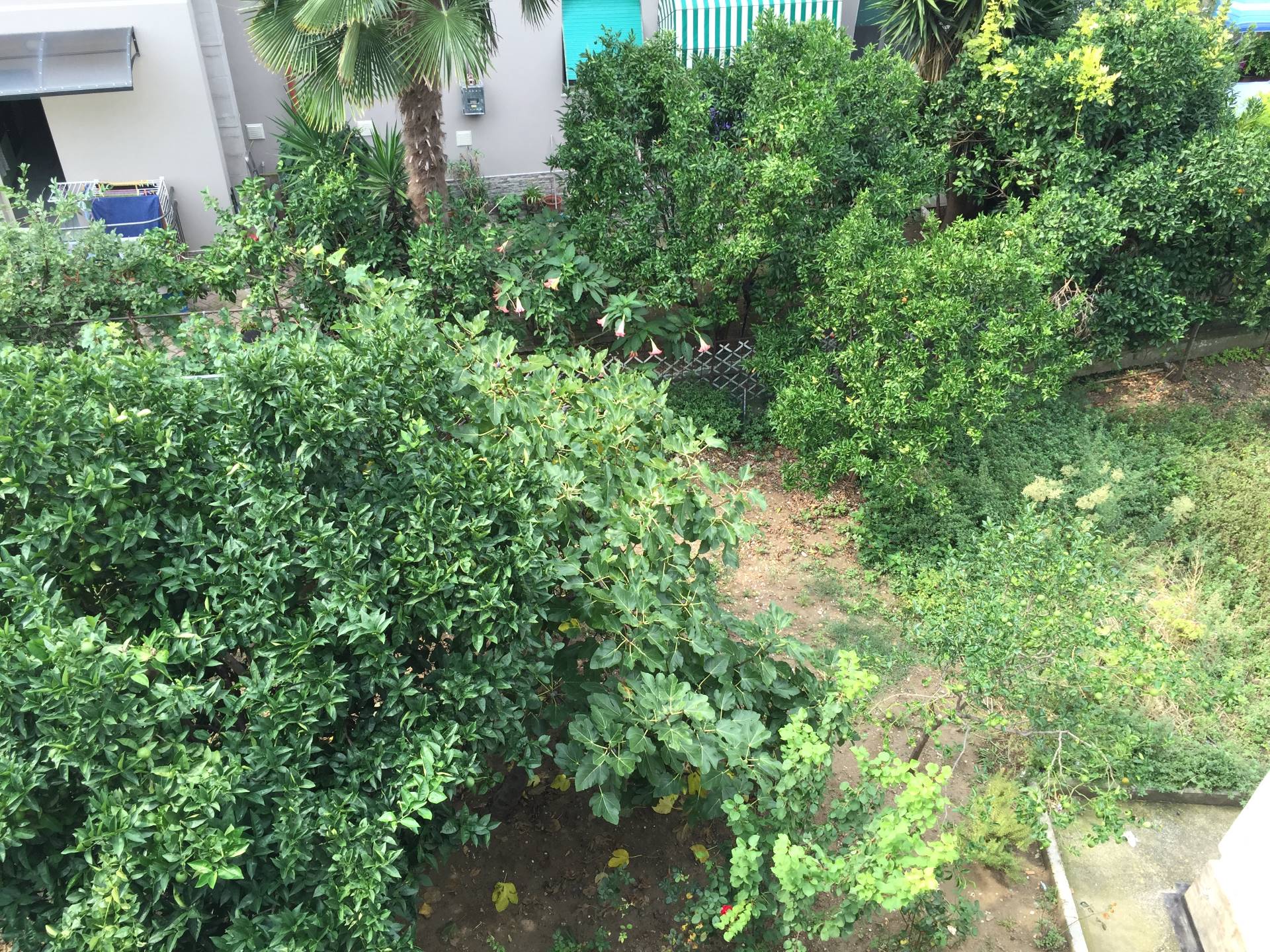 Appartamento in vendita a Vasto, ZONA CENTRALE