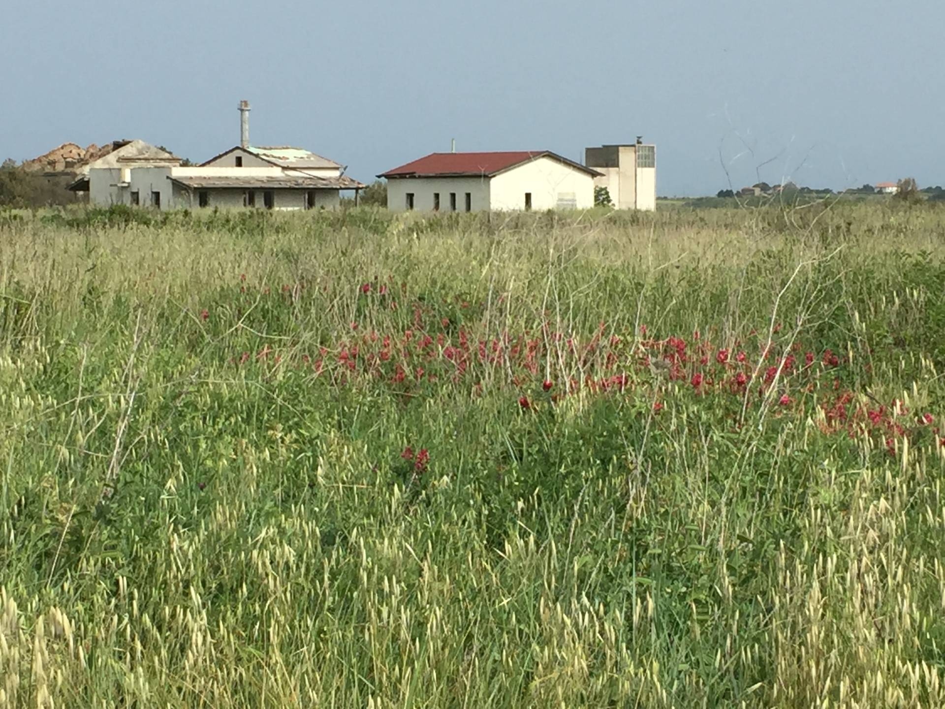 Terreno industriale in vendita a Vasto, ZONA PERIFERICA