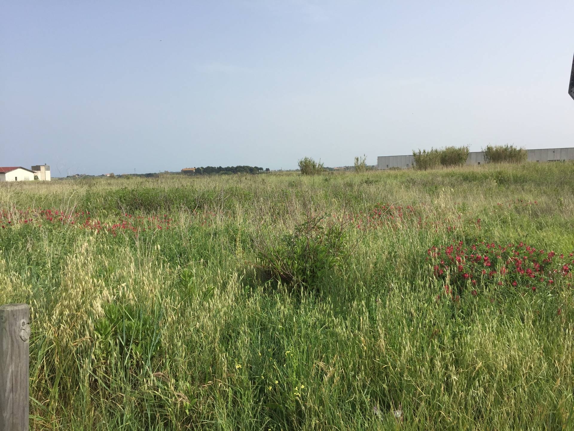 Terreno industriale in vendita a Vasto, ZONA PERIFERICA