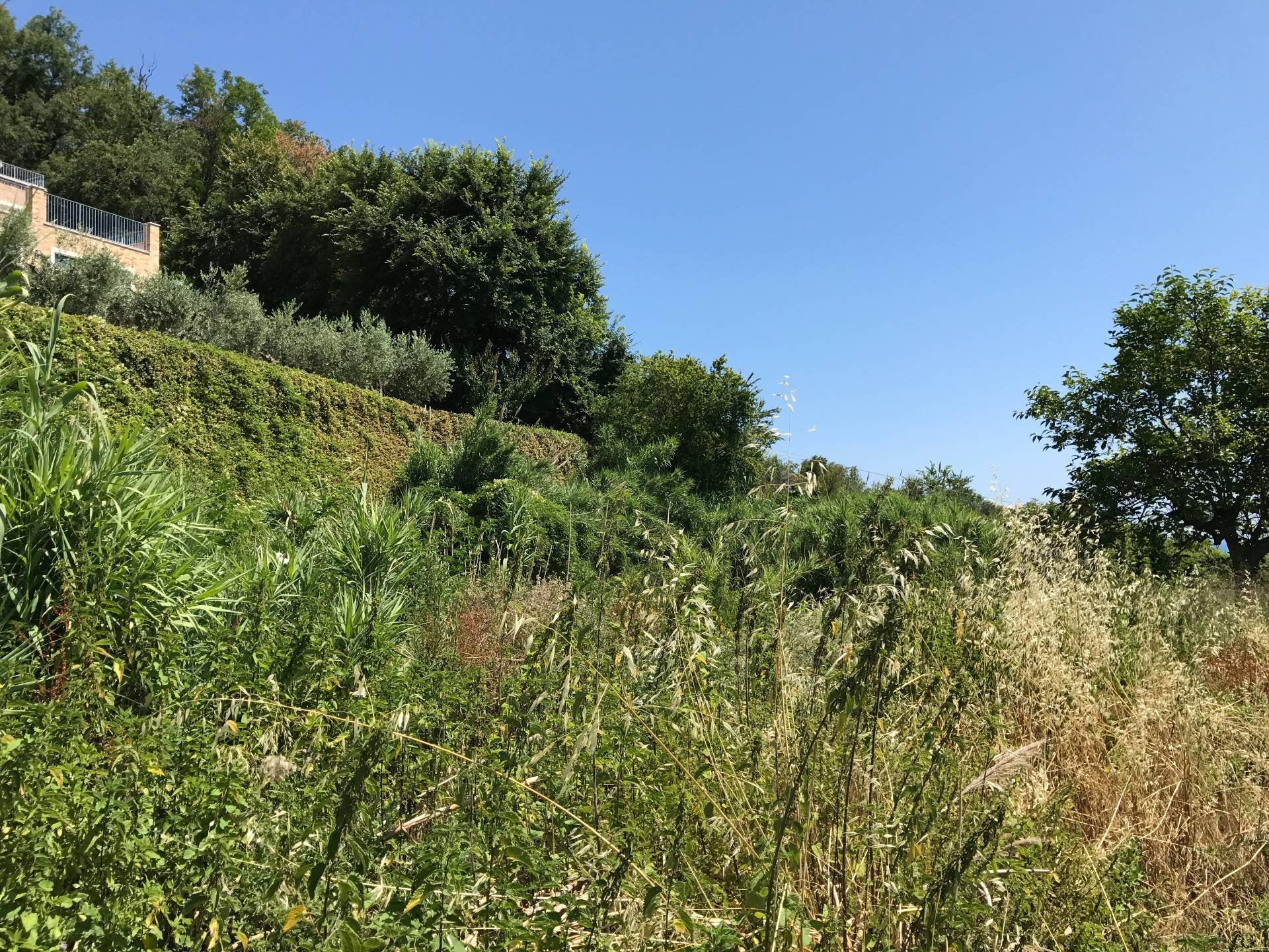 Terreno edificabile in vendita a Vasto, ZONA RESIDENZIALE