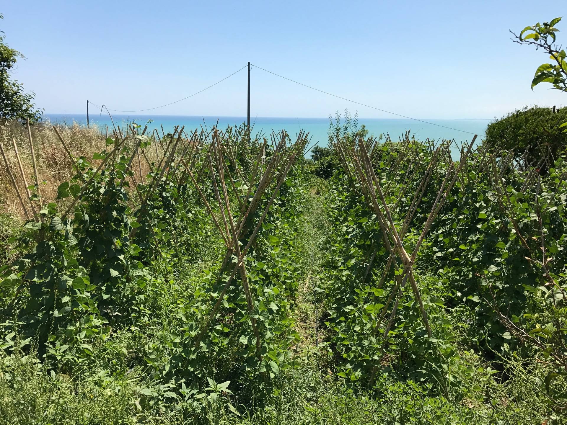 Terreno edificabile in vendita a Vasto, ZONA RESIDENZIALE