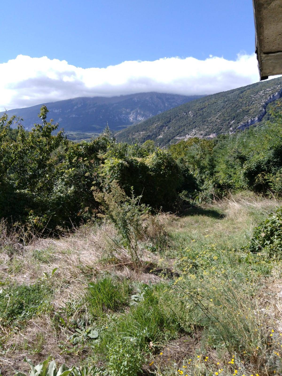 Grezzo in vendita a Lettopalena