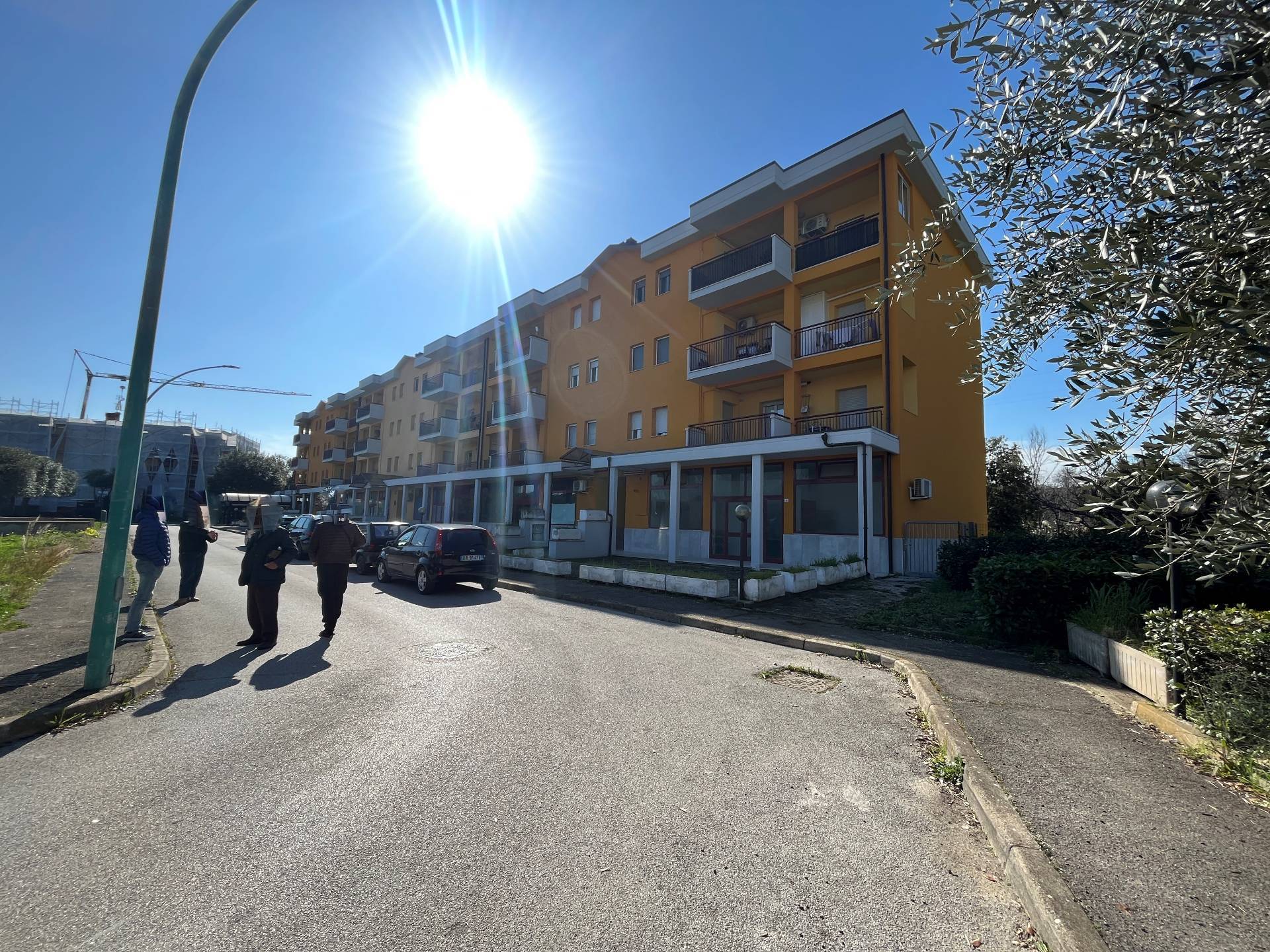 immagine annuncio 1 di 10