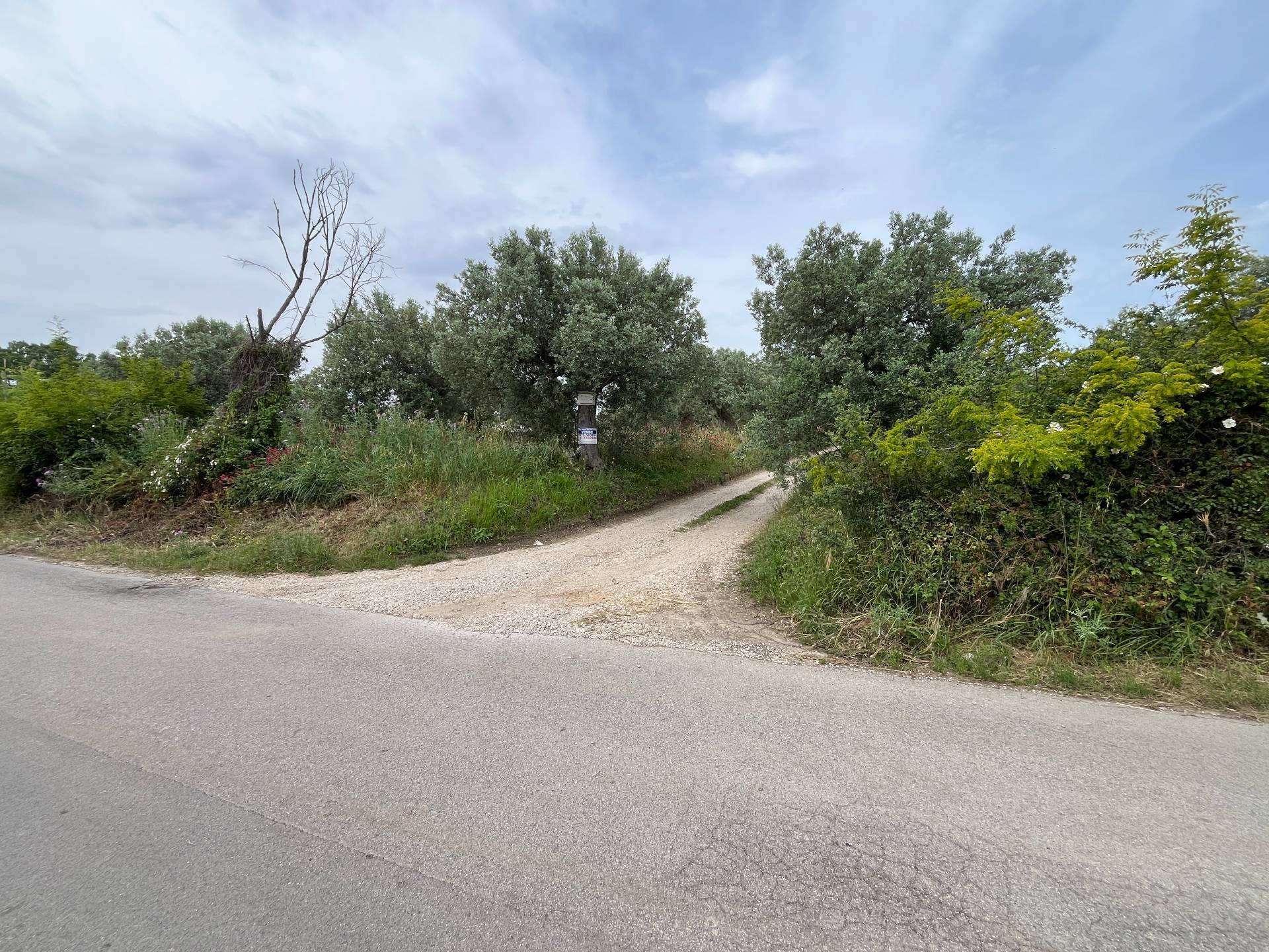 Terreno Agricolo in vendita a Vasto, ZONA PERIFERICA