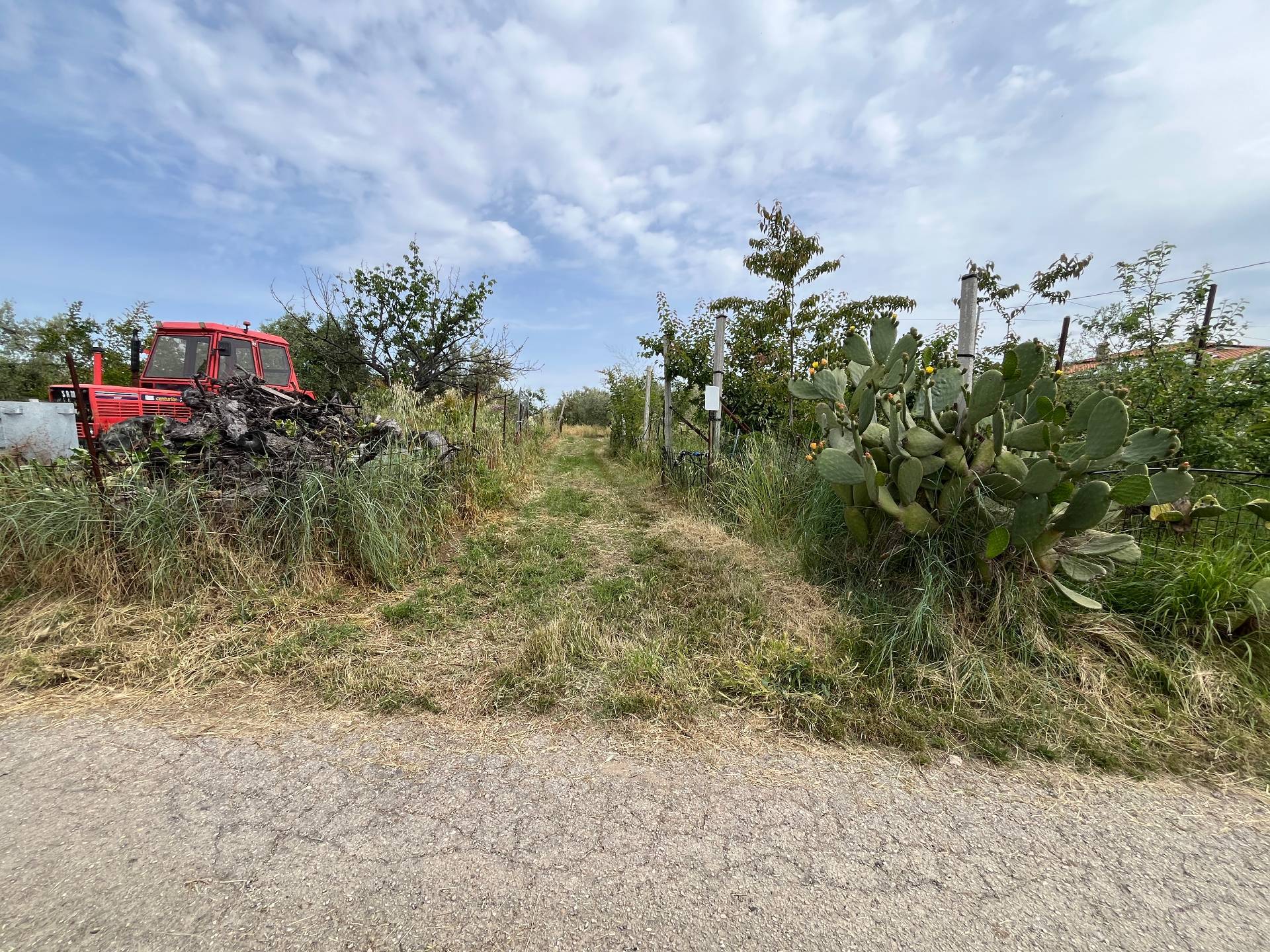 Terreno Agricolo in vendita a Vasto, ZONA PERIFERICA