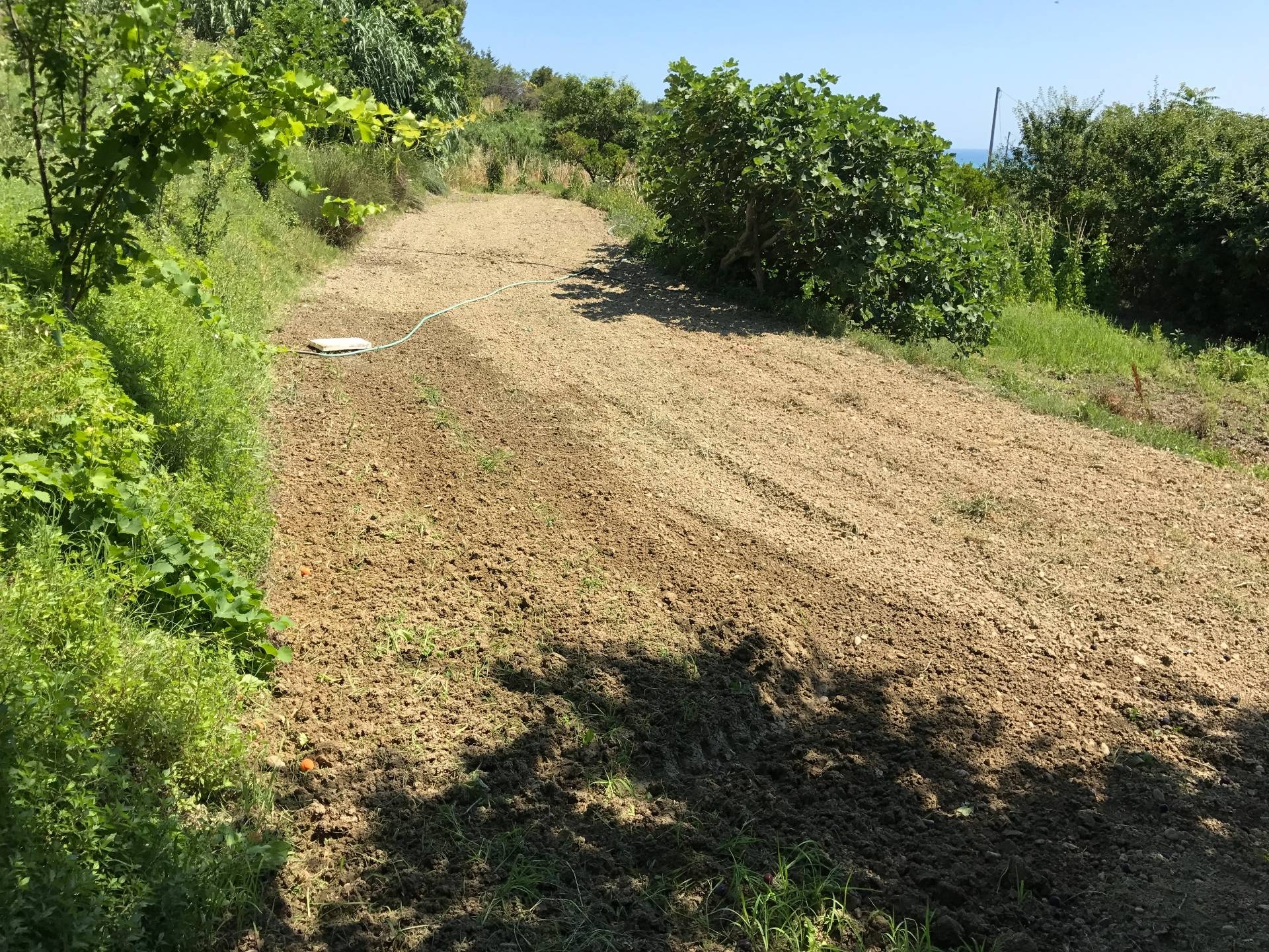 Terreno edificabile in vendita a Vasto, ZONA RESIDENZIALE