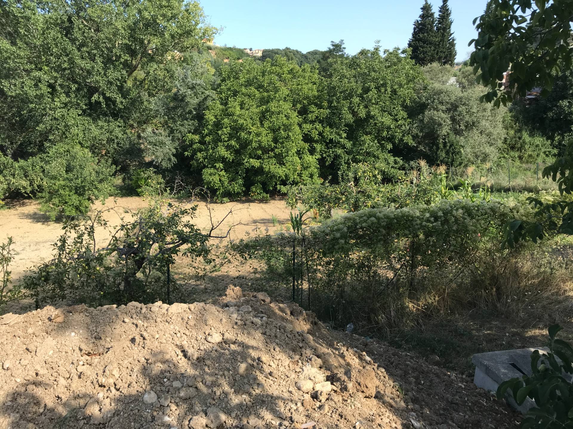 Grezzo in vendita a Vasto, ZONA PERIFERICA