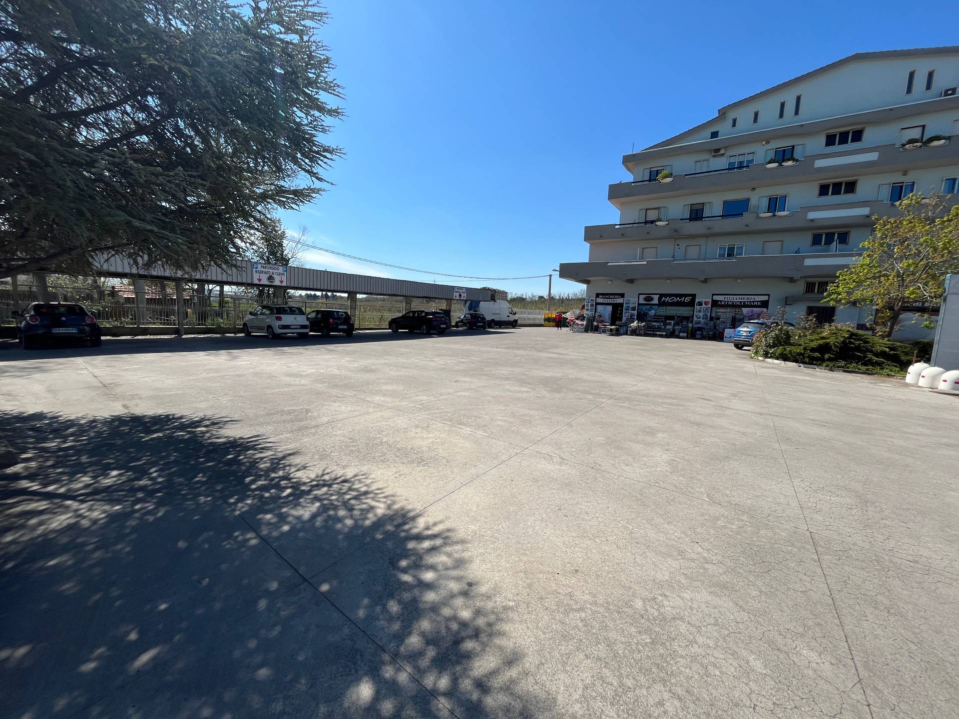 immagine annuncio 5 di 8