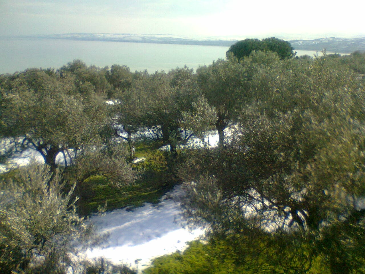 Terreno edificabile in vendita a Vasto, ZONA RESIDENZIALE