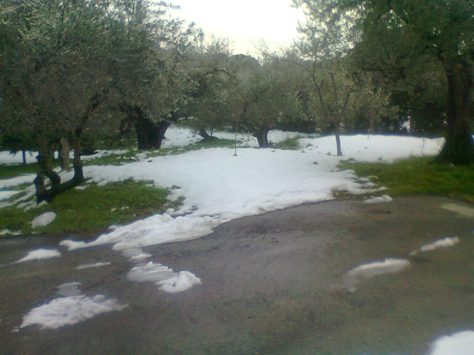Terreno edificabile in vendita a Vasto, ZONA RESIDENZIALE