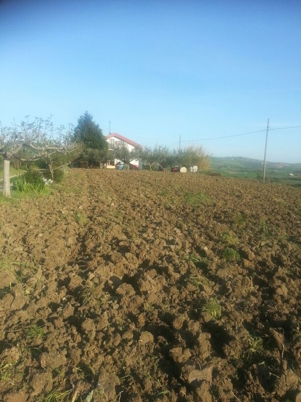 Abitazione indipendente in vendita a Montenero di Bisaccia