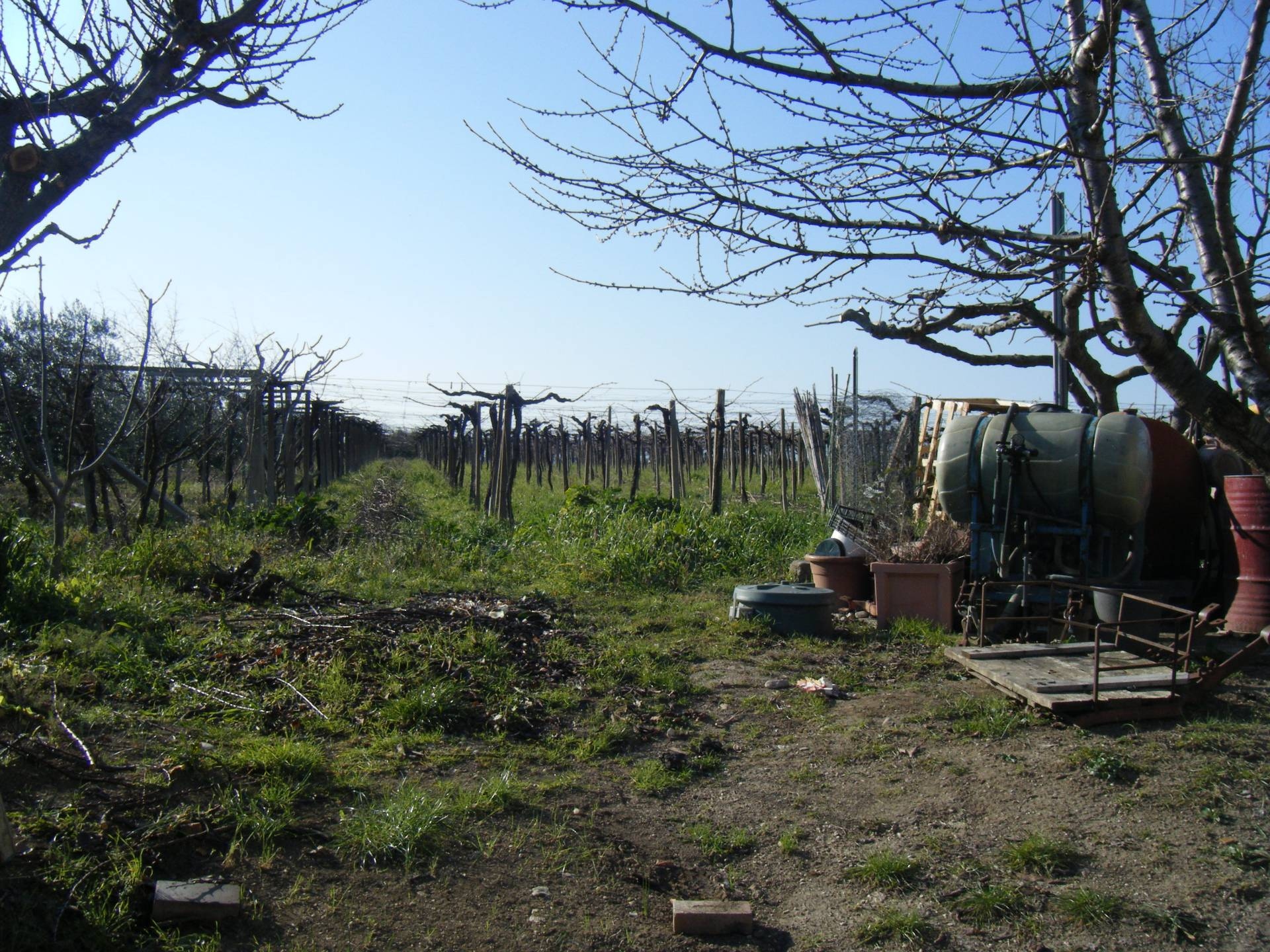 Villa in vendita a Pollutri