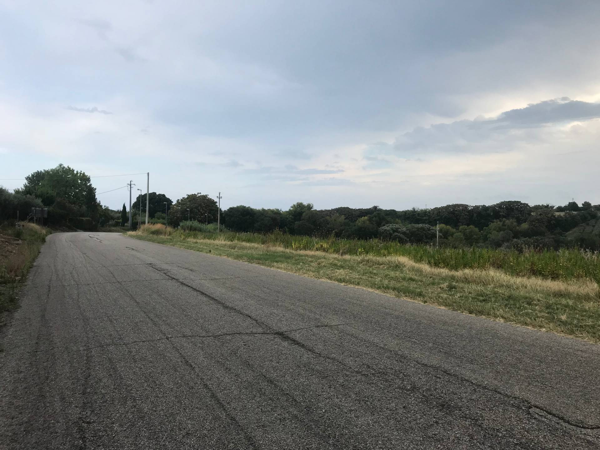 immagine annuncio 3 di 6