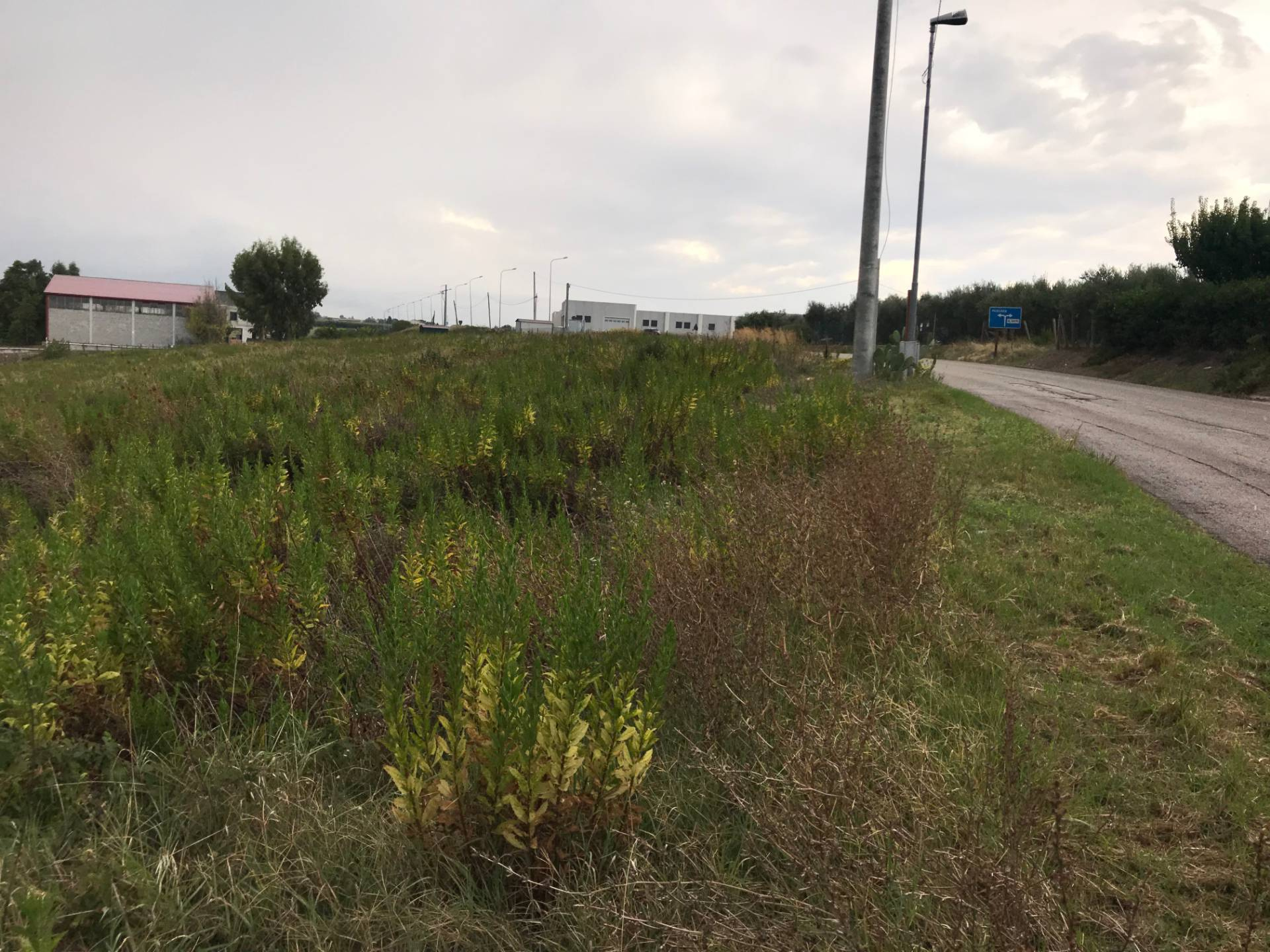 immagine annuncio 5 di 6