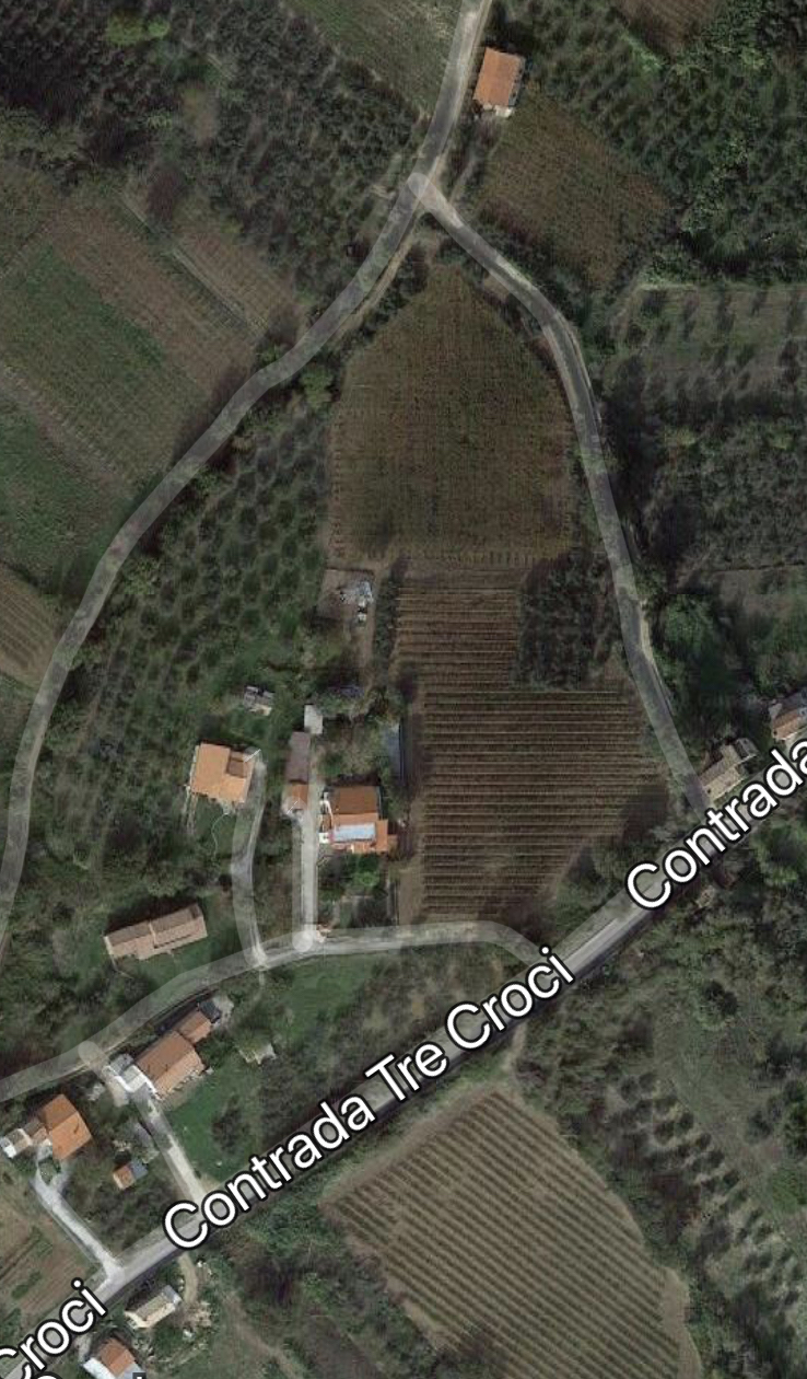 immagine annuncio 1 di 3