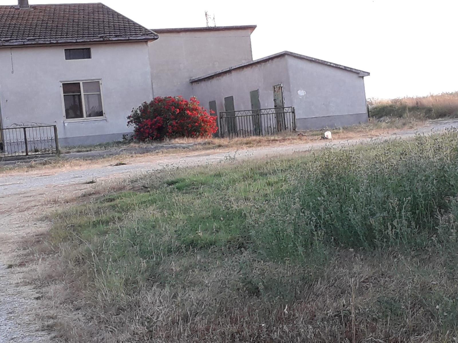 Rustico in vendita a Paglieta