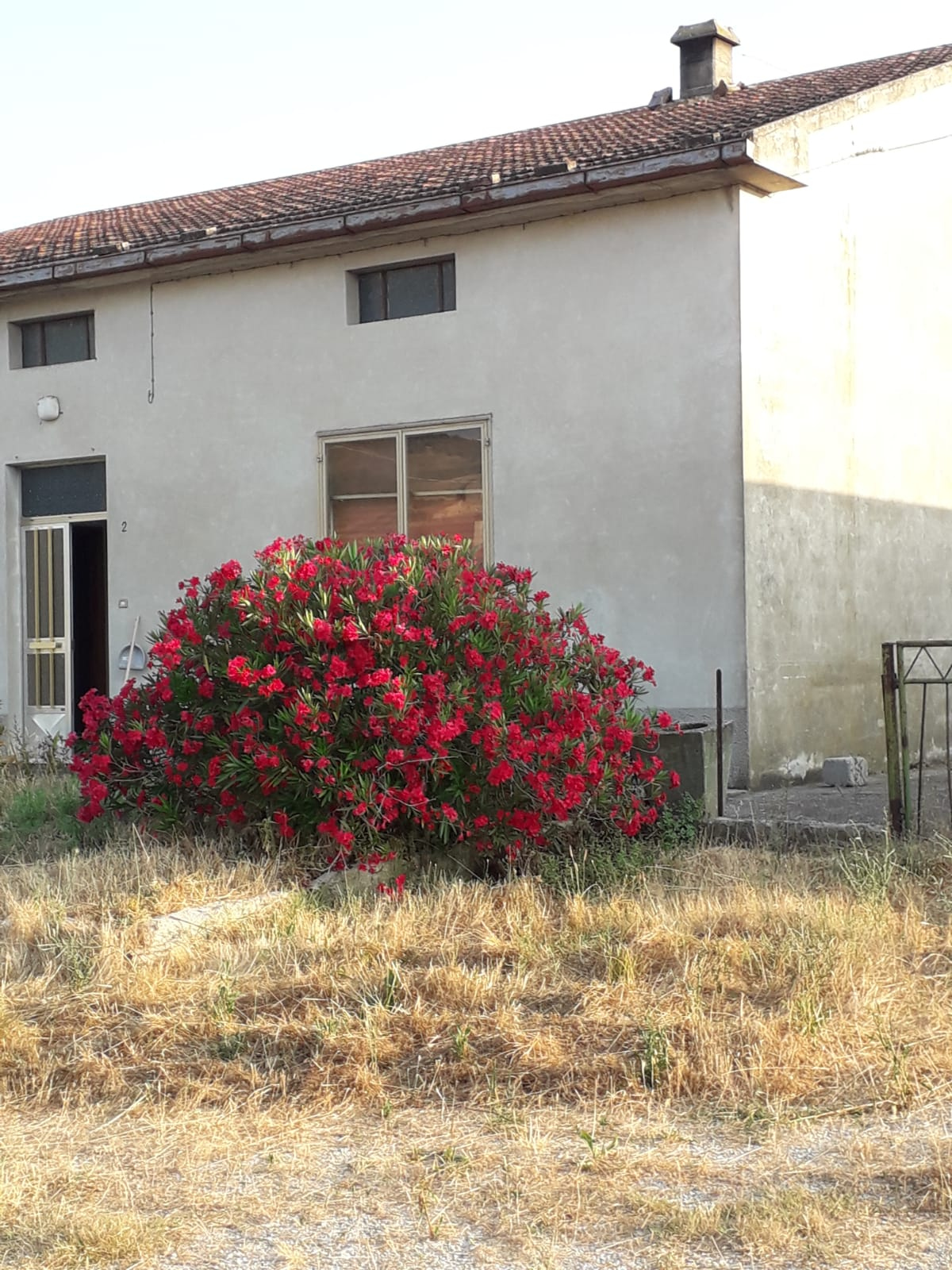 Rustico in vendita a Paglieta