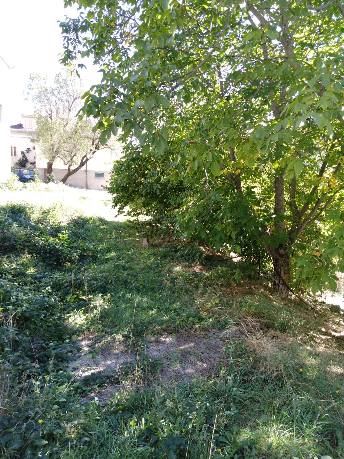 Grezzo in vendita a Lettopalena