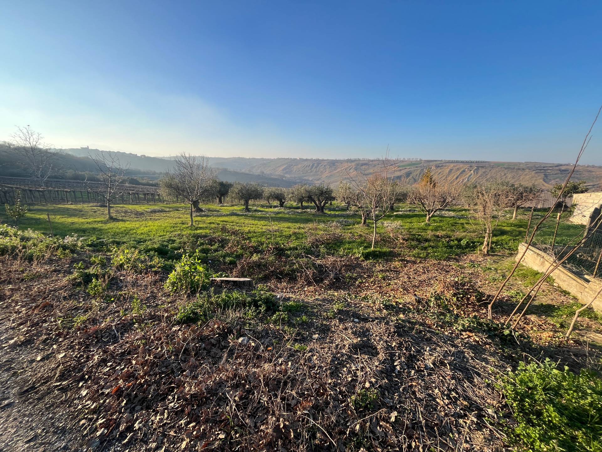 Casa singola in vendita a Scerni