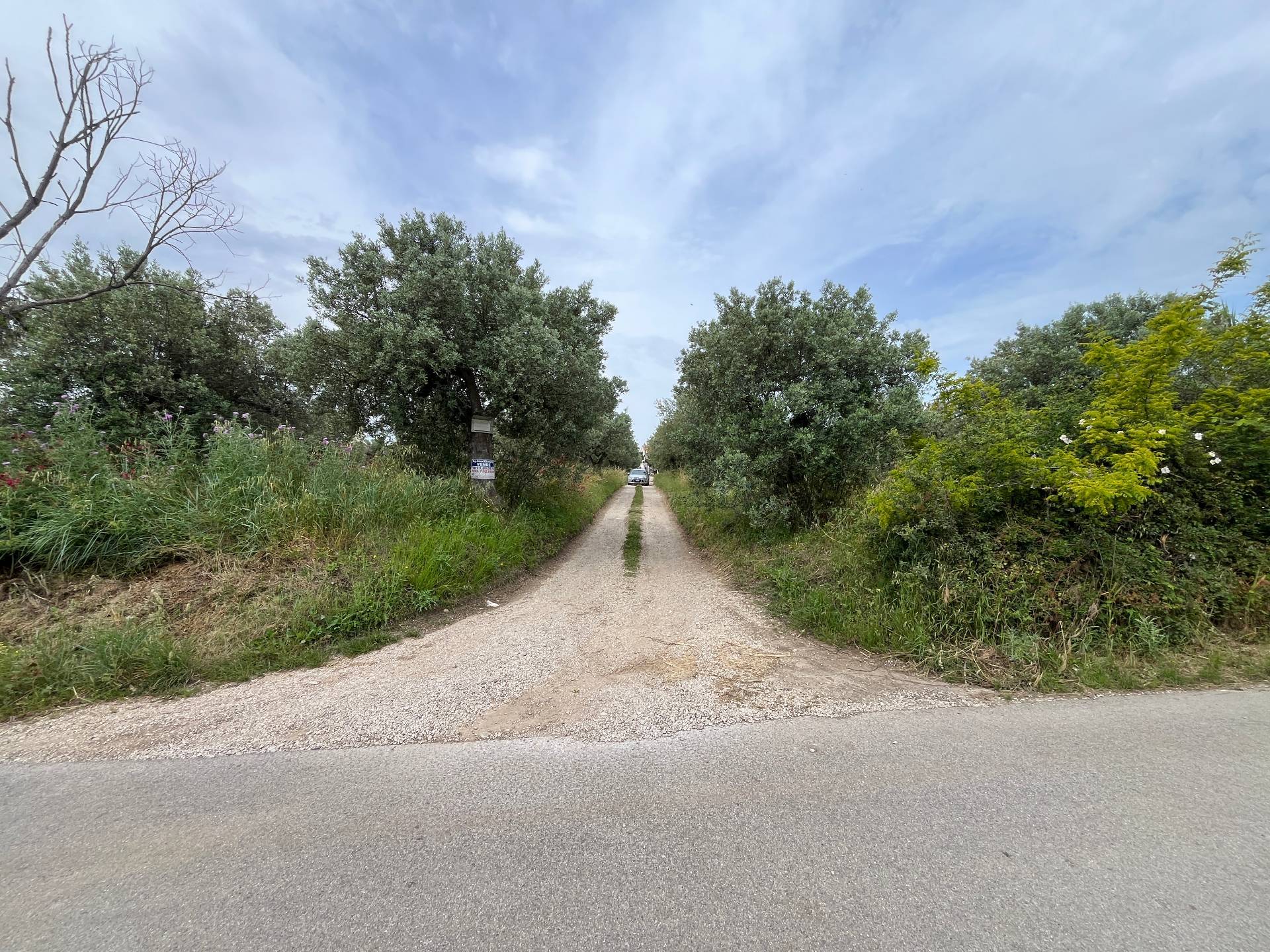 Terreno Agricolo in vendita a Vasto, ZONA PERIFERICA