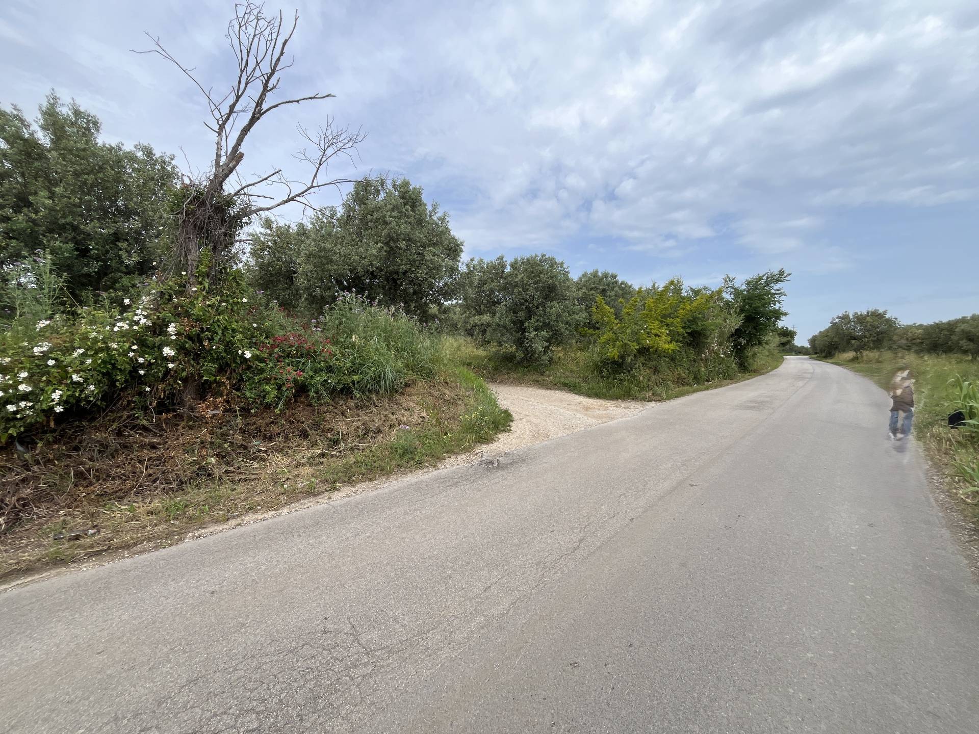 Terreno Agricolo in vendita a Vasto, ZONA PERIFERICA