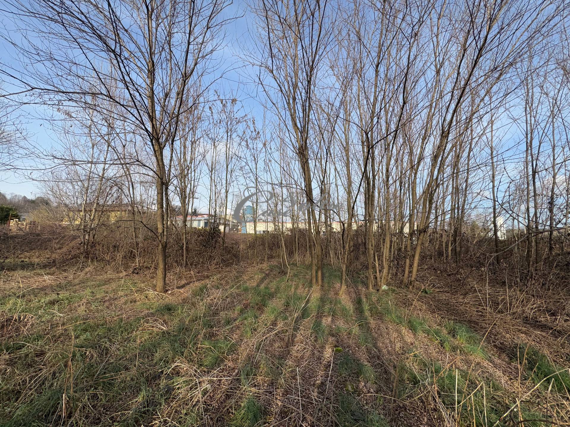 Terreno edificabile industriale in vendita a Cant, Vighizzolo