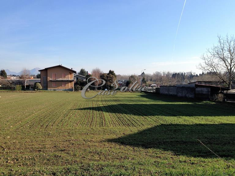 immagine annuncio 2 di 4