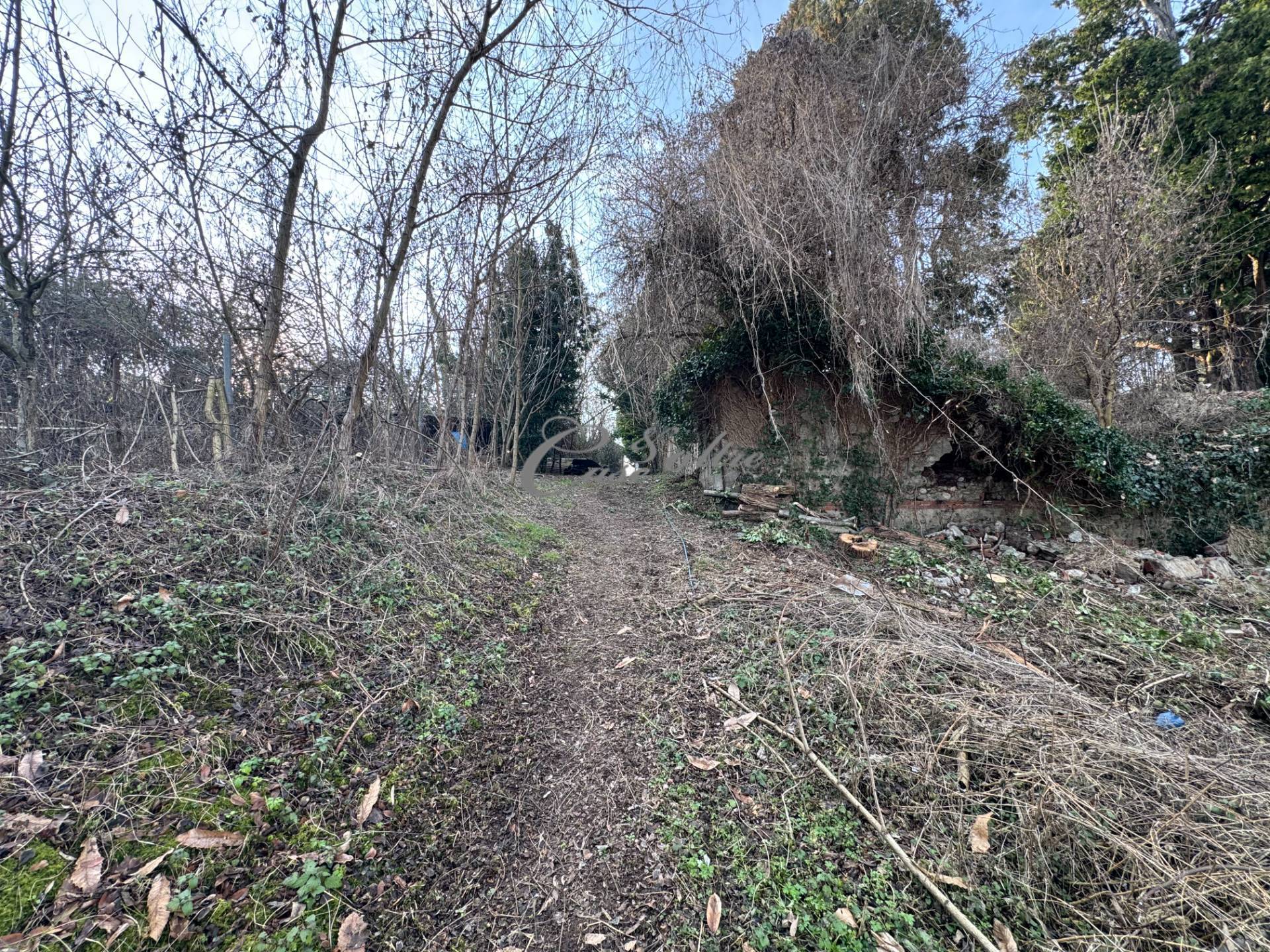 Terreno agricolo in vendita a Lentate sul Seveso, Camnago