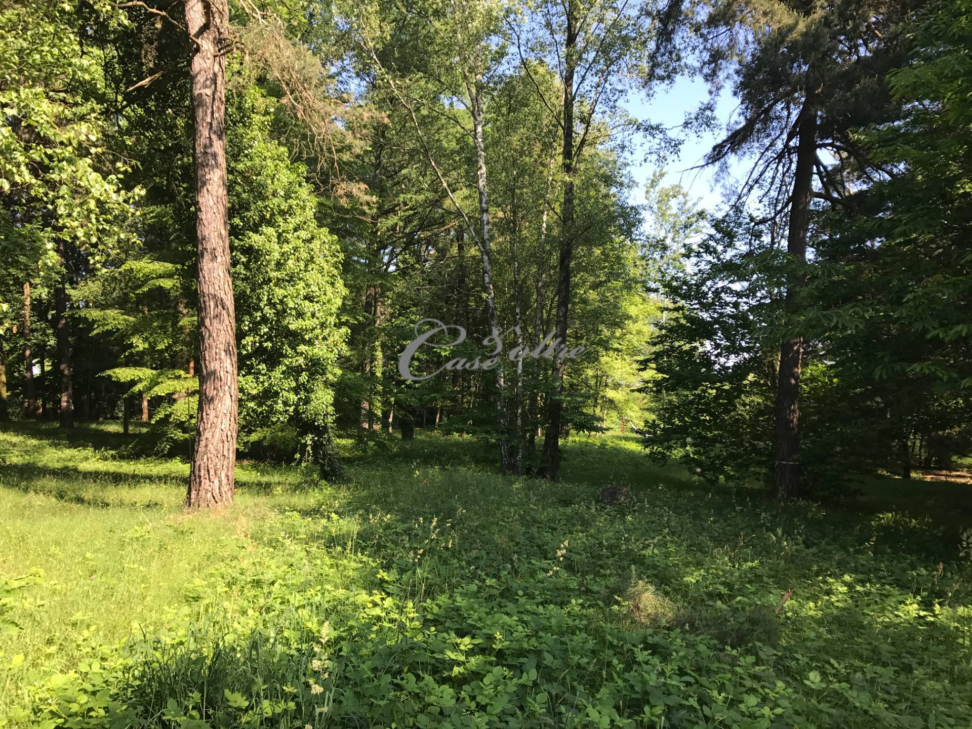 Terreno edificabile residenziale in vendita a Guanzate, I Cinq Fo