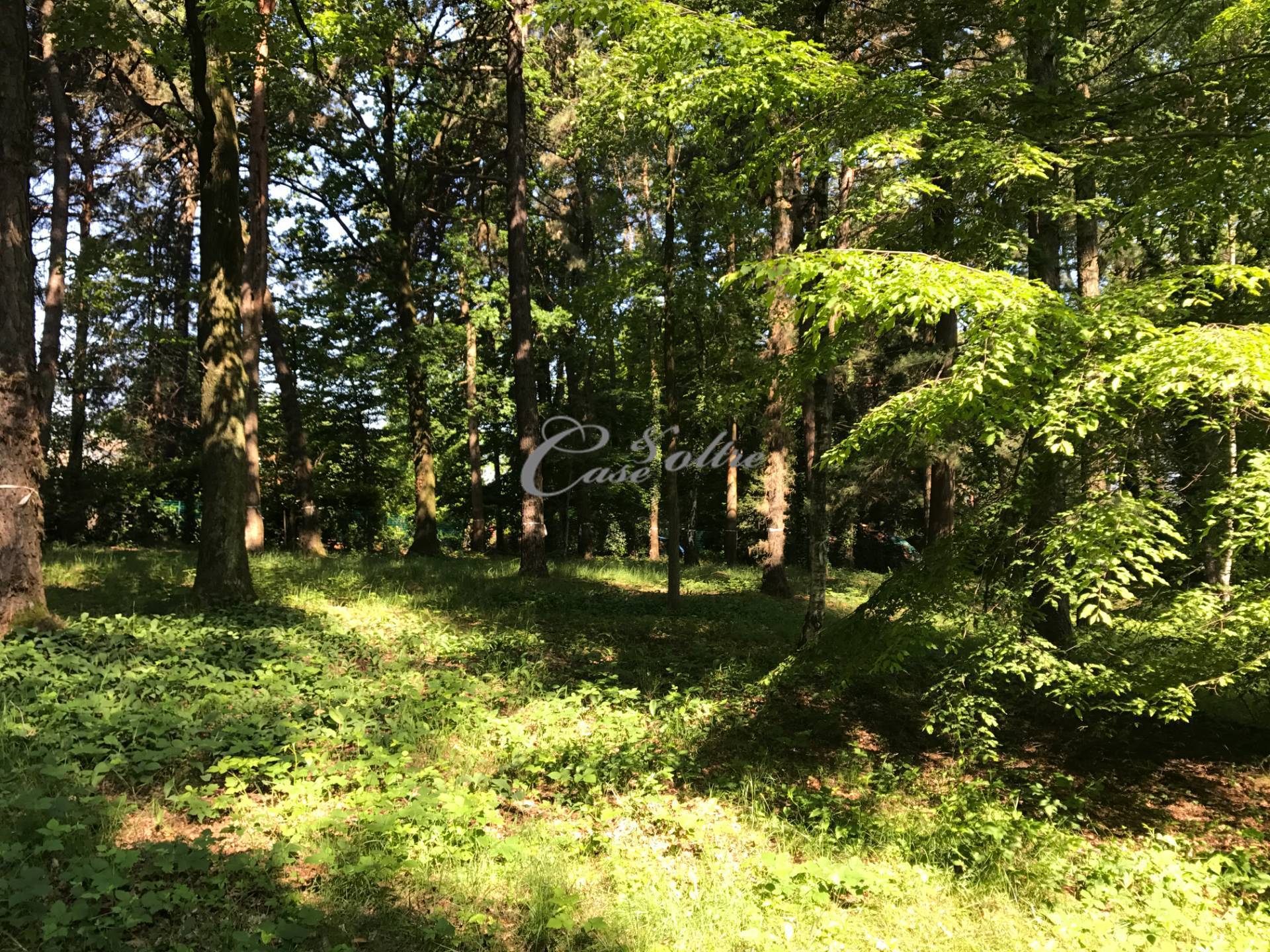 Terreno edificabile residenziale in vendita a Guanzate, I Cinq Fo