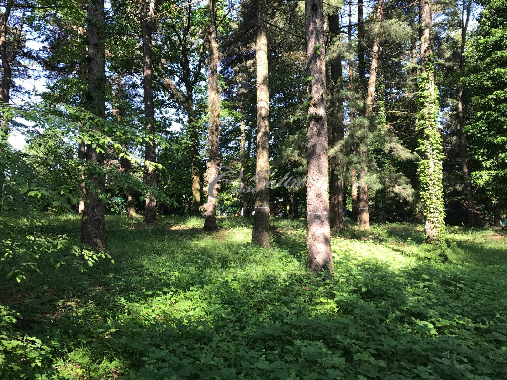 Terreno edificabile residenziale in vendita a Guanzate, I Cinq Fo