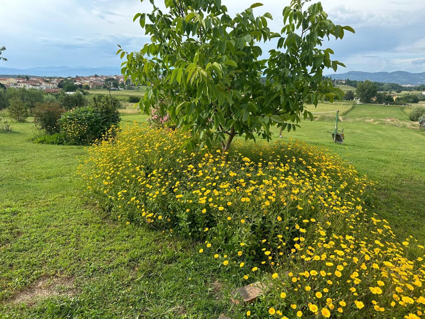 Villa Bifamiliare con giardino a Cerreto Guidi