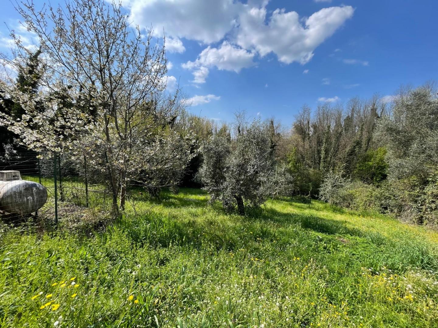 Casa indipendente con giardino a Lamporecchio