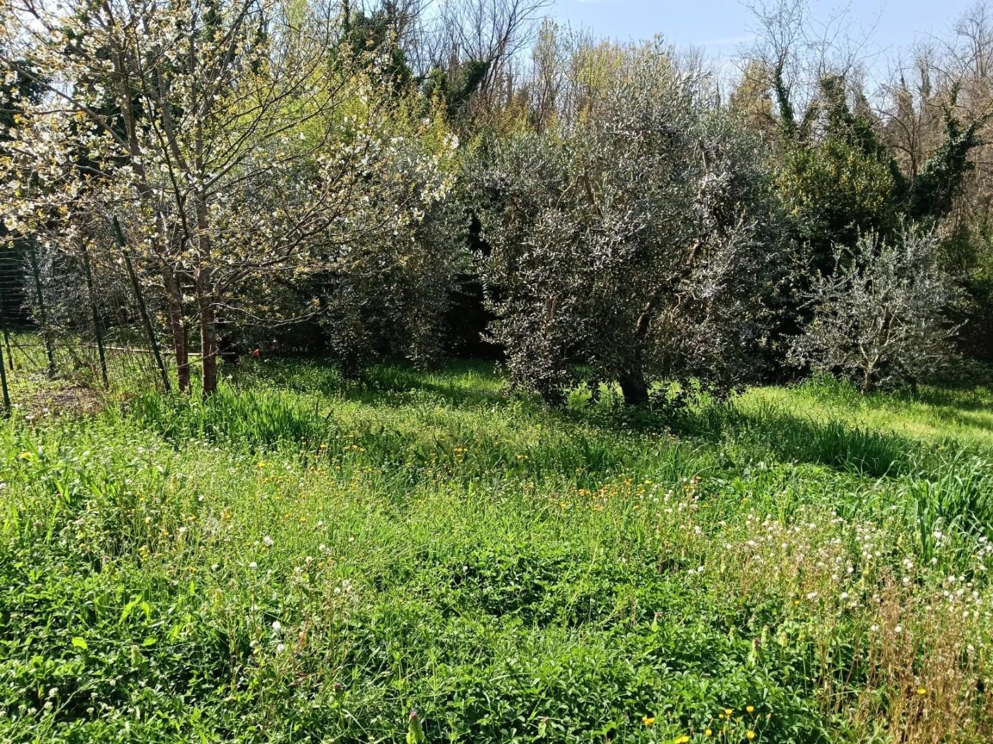 Casa indipendente con giardino a Lamporecchio