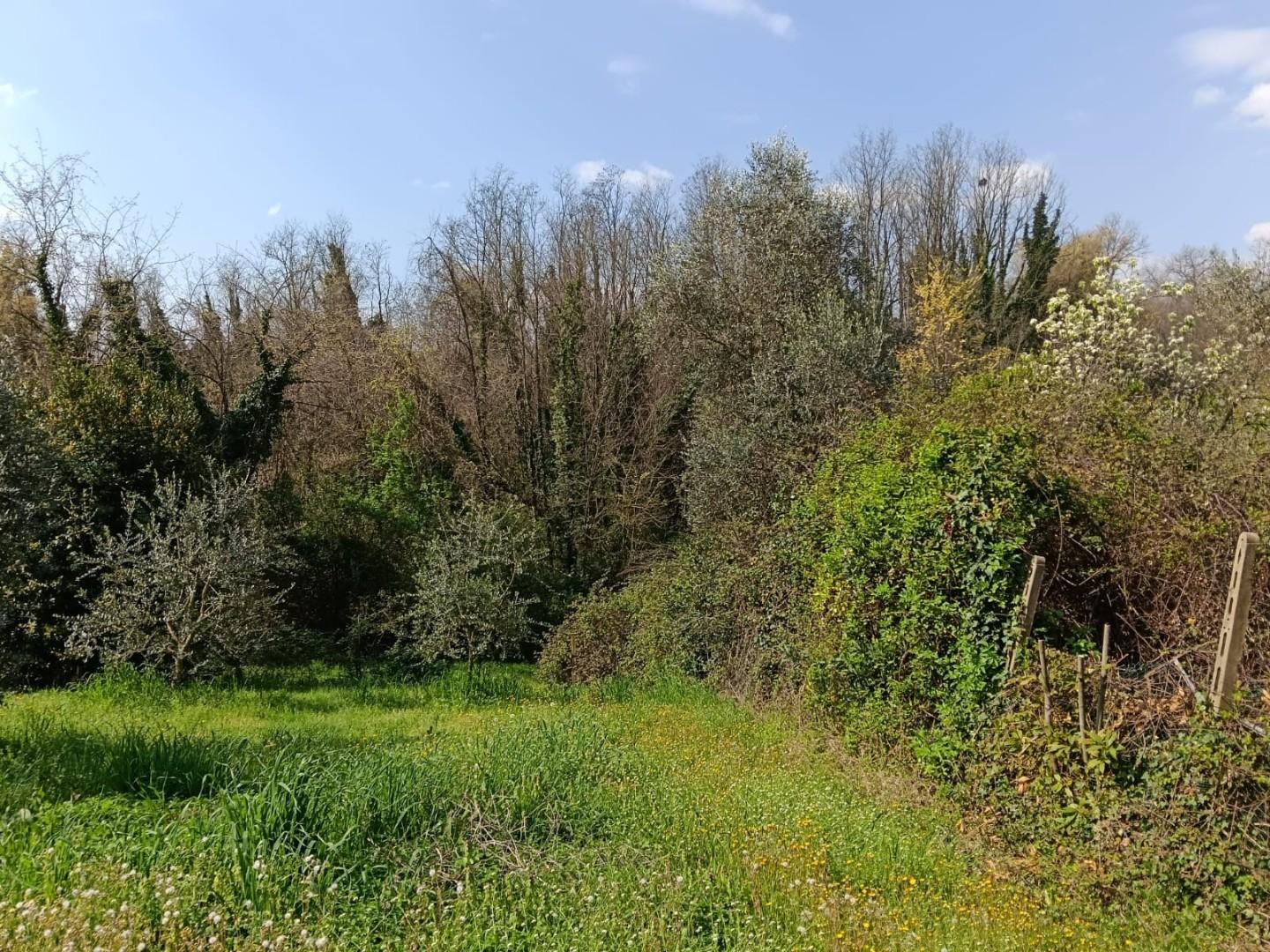 Casa indipendente con giardino a Lamporecchio