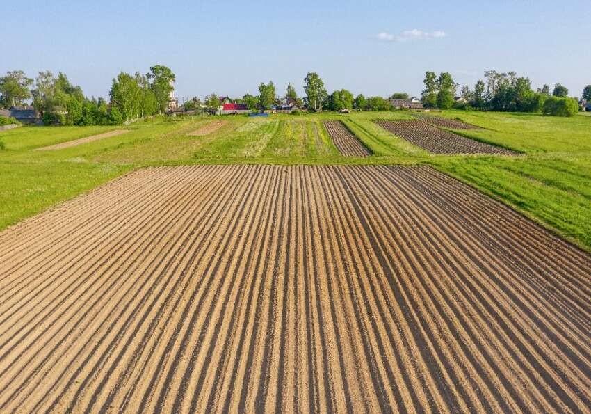 Terreno Agricolo in vendita, Pisa cep