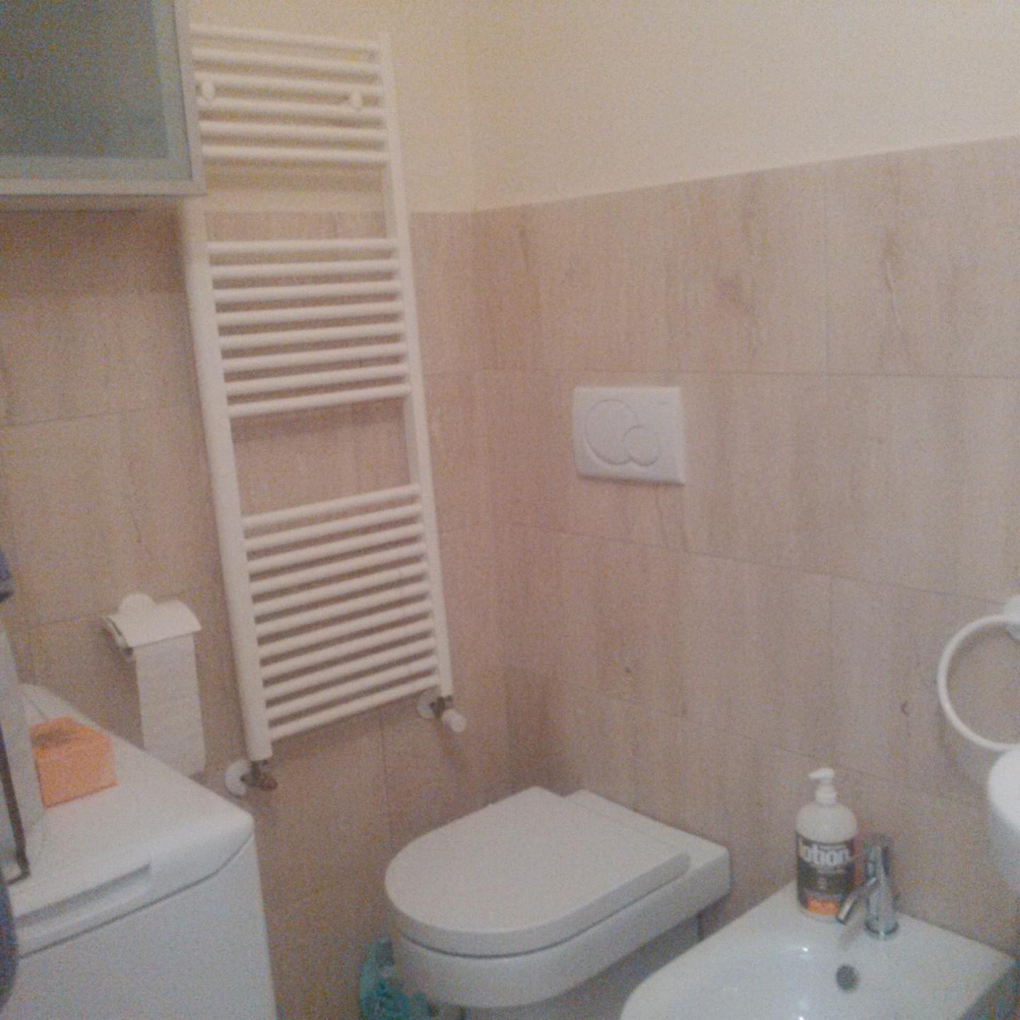 Monolocale arredato in affitto, Pisa borgo stretto