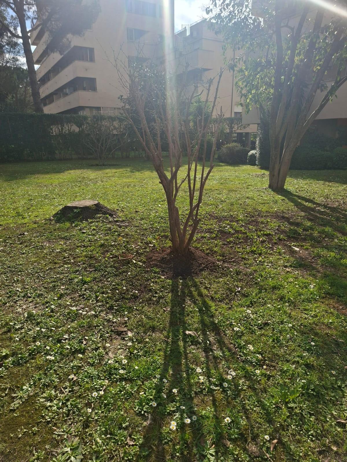 Appartamento con terrazzo, Pisa nova