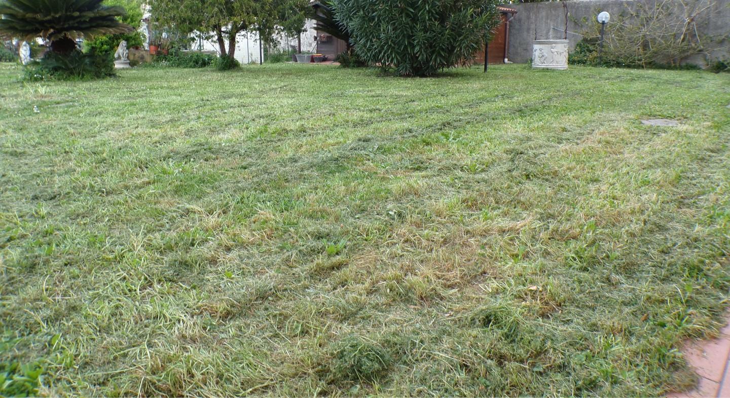 Villa con giardino, Cascina san frediano a settimo