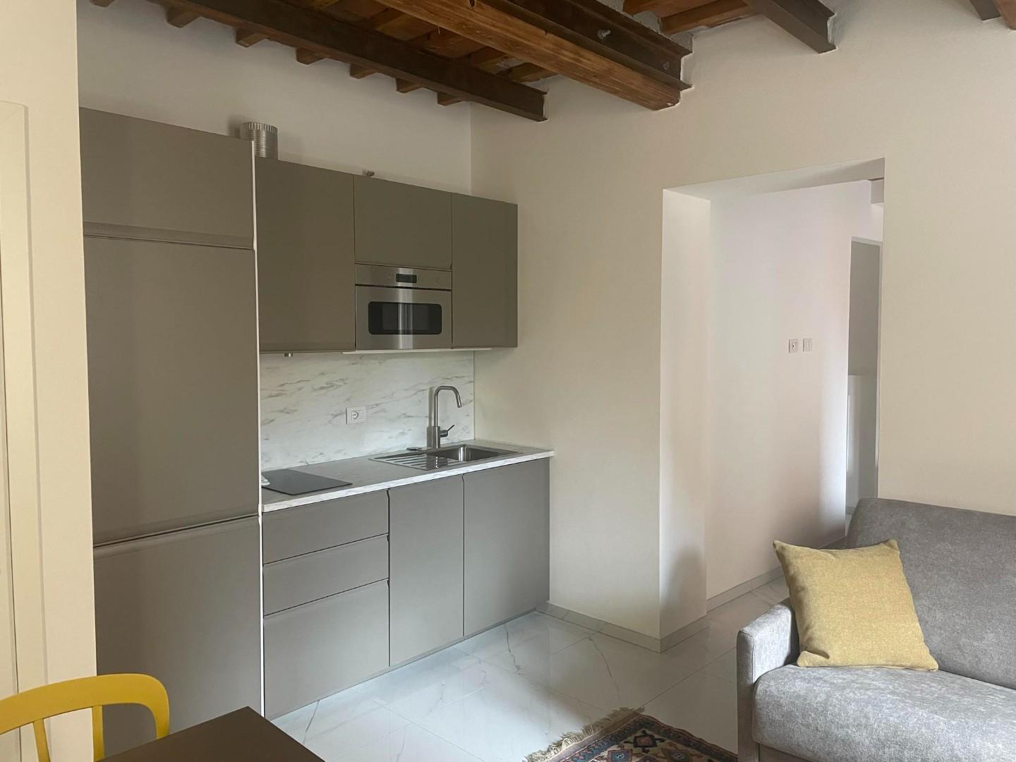 Bilocale arredato in affitto, Pisa san francesco
