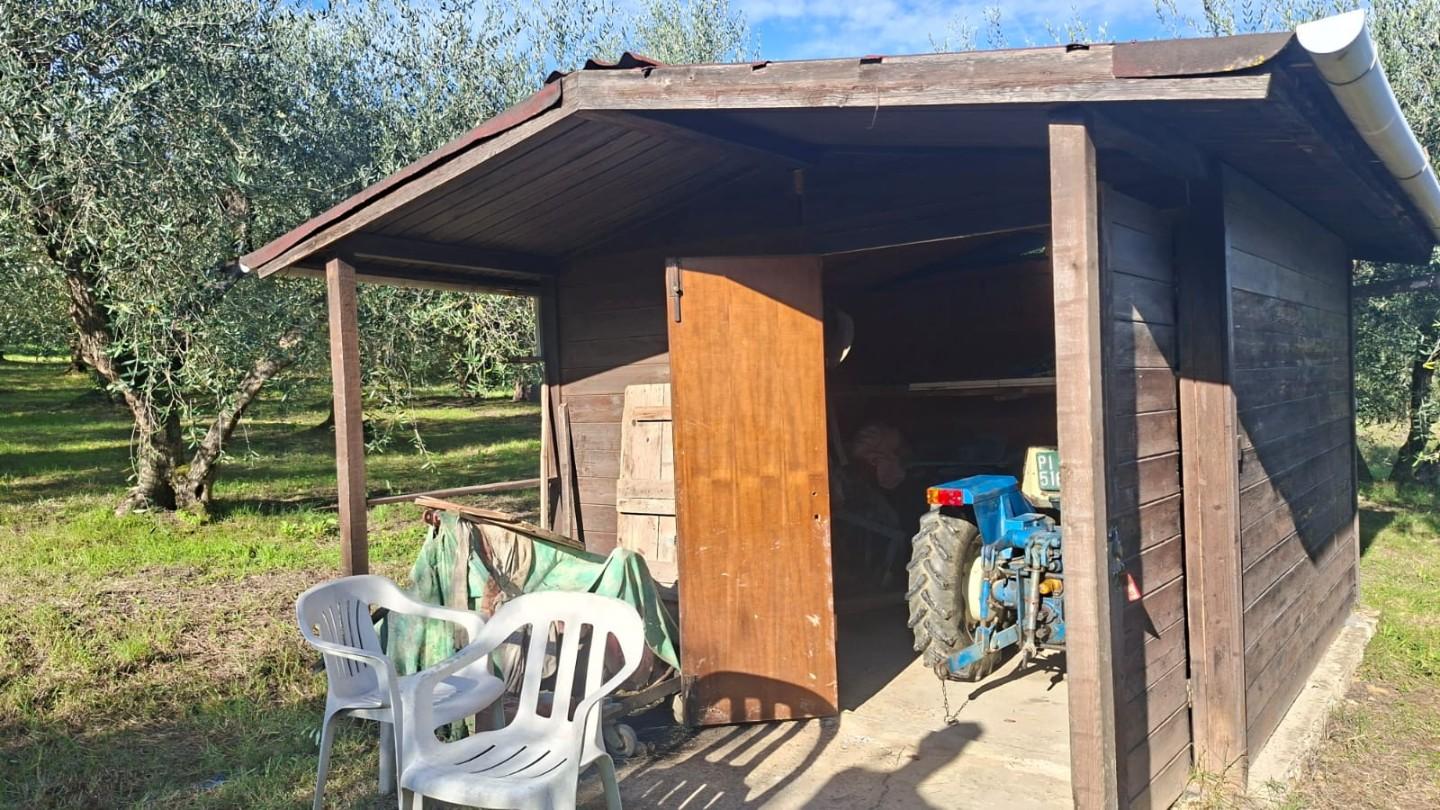 Terreno Agricolo in vendita a Capannoli