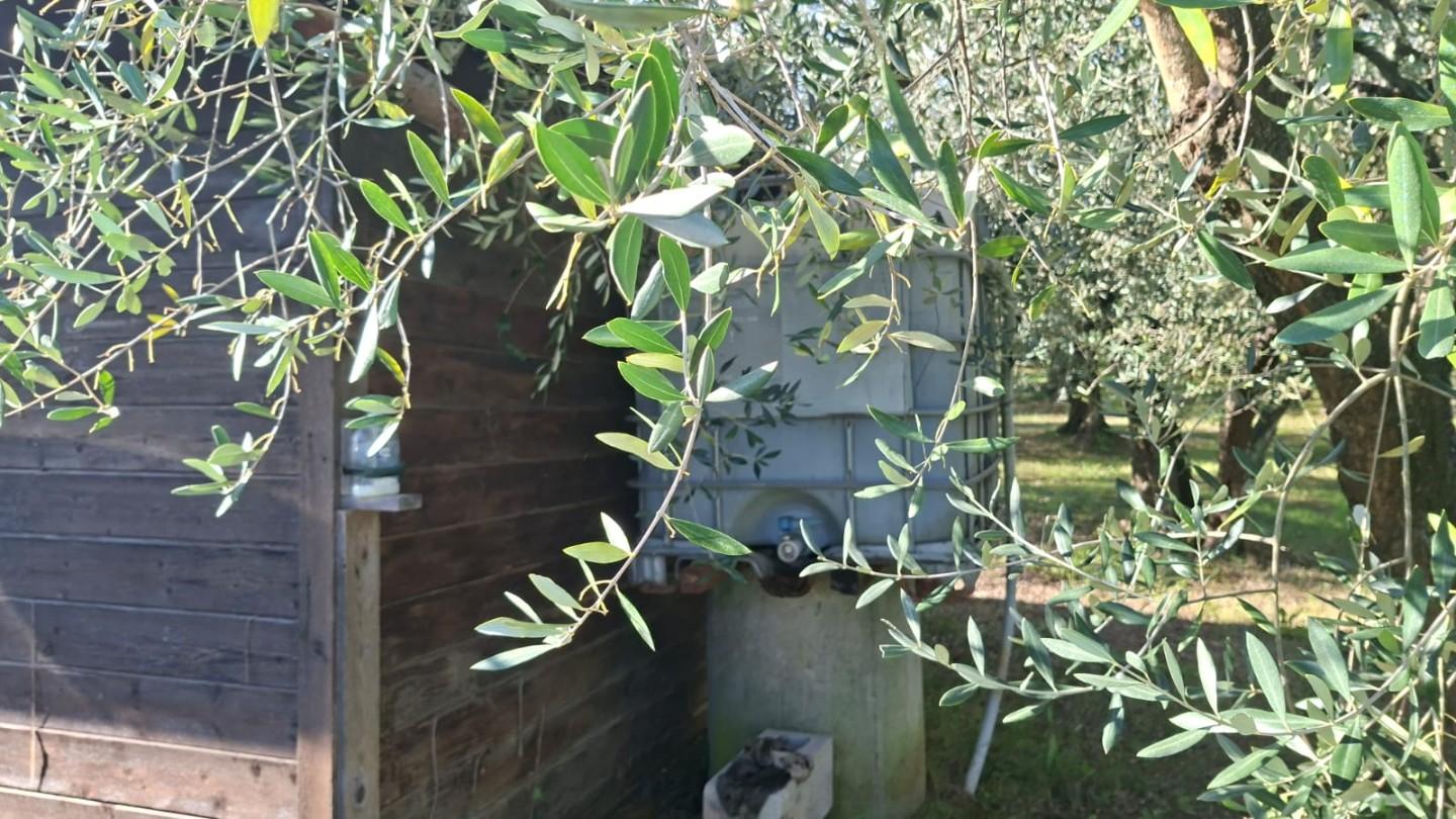 Terreno Agricolo in vendita a Capannoli
