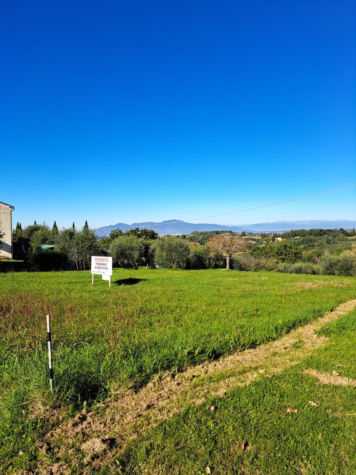 Terreno Edificabile in vendita, Capannoli san pietro in belvedere