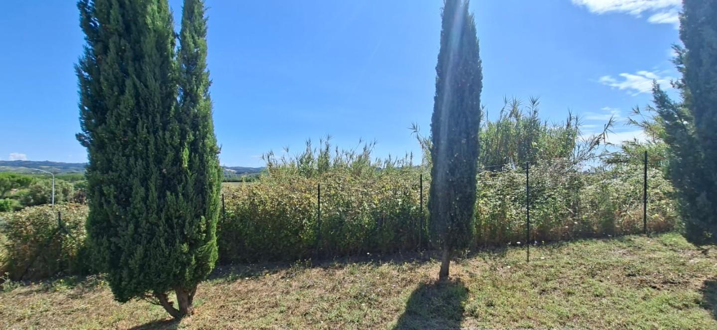 Terreno Edificabile in vendita, Terricciola selvatelle